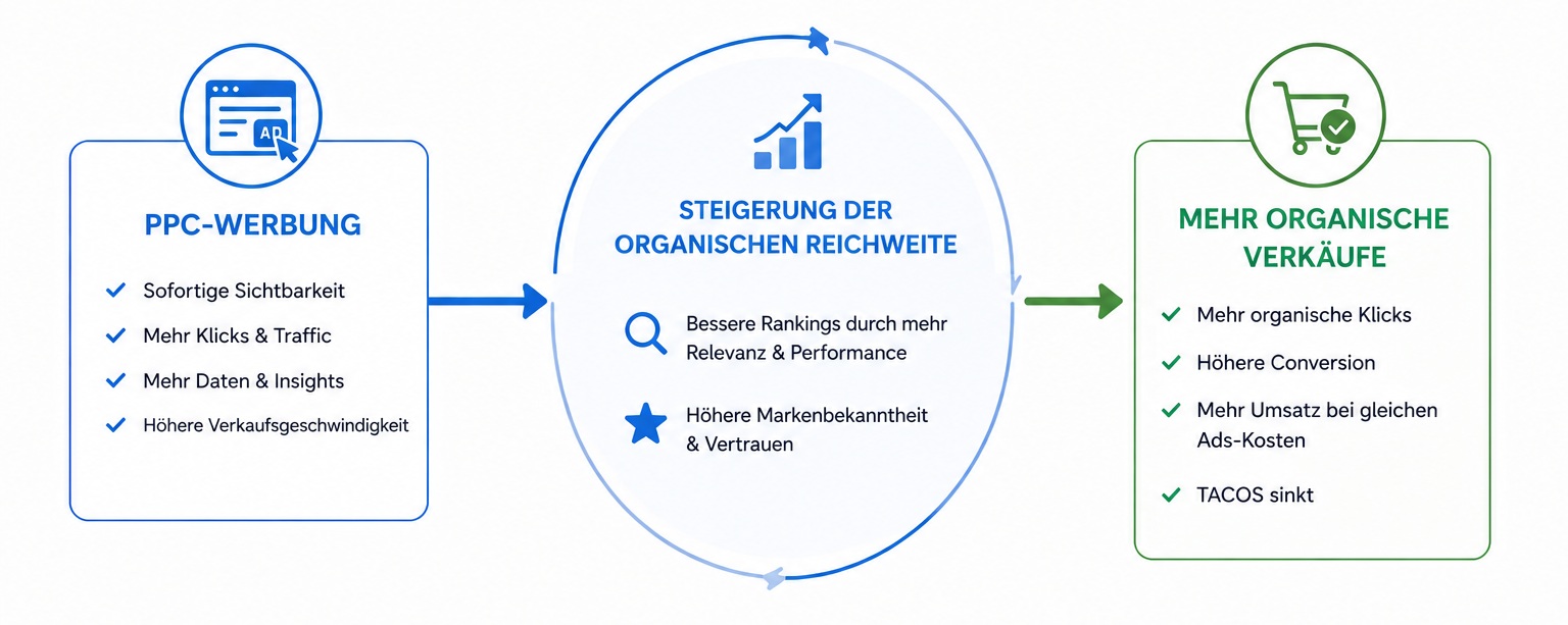 wie ppc kampagnen organische verkäufe ankurbeln